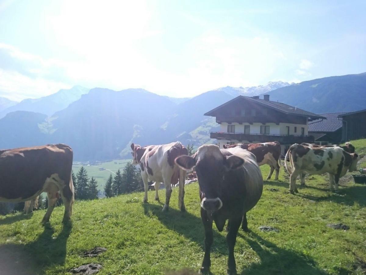 Saibatenhof Hainzenberg Zewnętrze zdjęcie